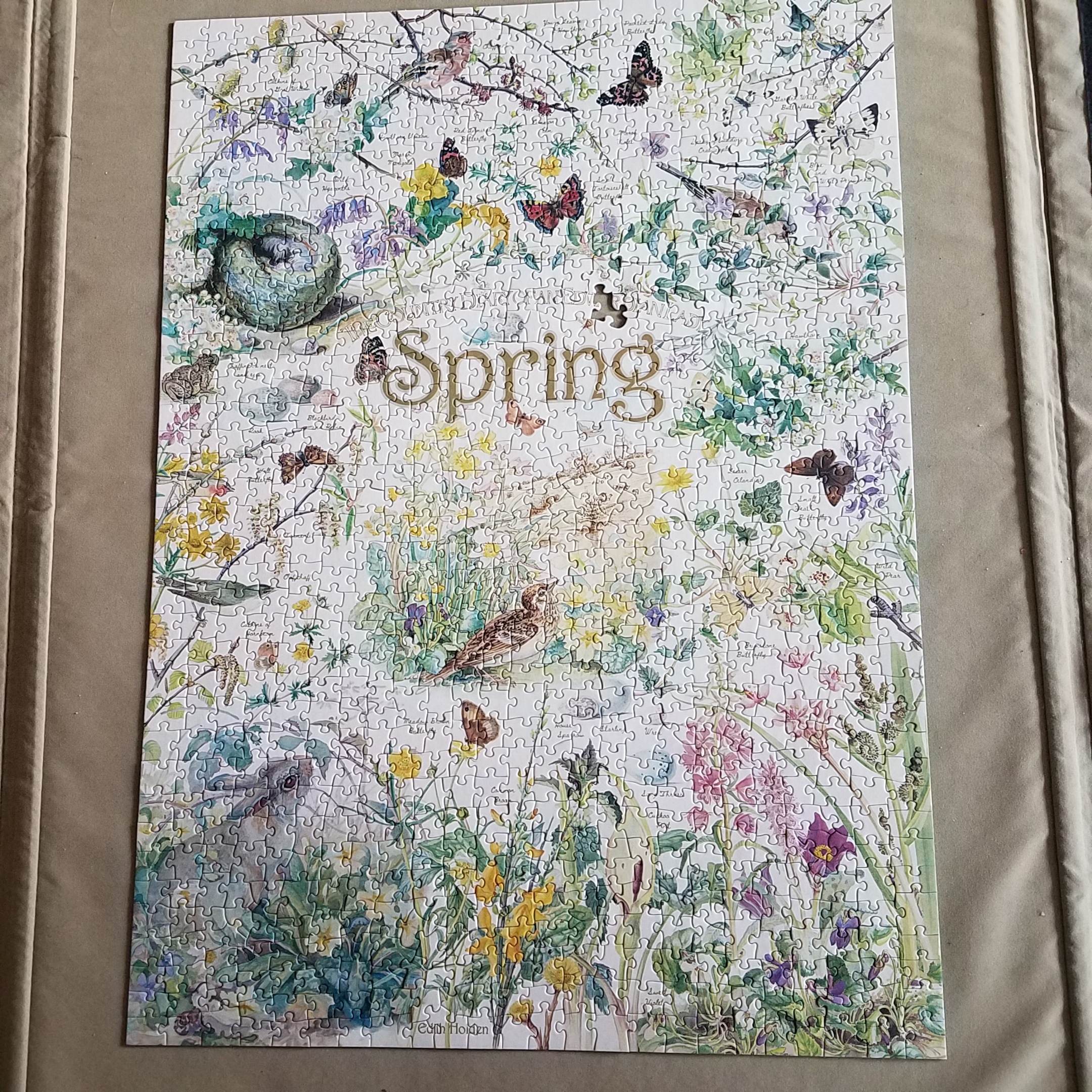 Spring Puzzle